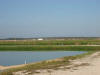 AG5. Central and Southern Belize Shrimp and Tilapia Farms
Fresh Catch Ltd.