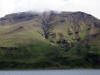 15Jul: Deer Island, Aleutian Islands, AK