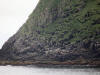 16Jul: Volcanic polygon towers, Kake Island