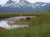 17Jul: Kodiak Bear, Hallo Bay, Katmai