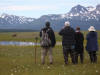 17Jul: Bear watching, Hallo Bay, Katmai