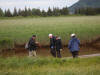 17Jul: Hiking back, Hallo Bay, Katmai