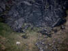 17Jul: Mountain Goat from the air, Kodiak Island