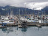 24 Jul: Harbor, Seward, AK