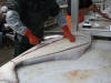 24 Jul: Cleaning flounder, Seward, AK