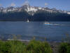 24 Jul: Resurrection Bay, Seward, AK