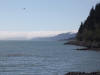26Jul: Resurrection Bay, Seward, AK