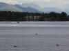29 Jul: Wasilla Lake, Wasilla, AK