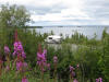 30Jul: Campsite, Lake Louise, AK