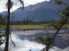 31Jul: Slana Slough, Tok Cutoff, AK