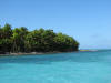 Coconut Palm (Cocos nucifera)
Half Moon Caye