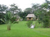 Traveler's Palm (Ravenala madagascariensis)
The Lodge at Big Falls