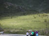 18Jun: Grizzly Bear, Savage River, Denali NP, AK