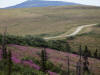 05Aug: American Mountain, Taylor Highway, AK