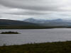 09Aug: Chapman Lake, KM116, Dempster Hwy