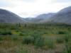 09Aug: South of Windy Pass, KM150, Dempster Hwy