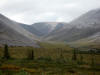 09Aug: "Beringia", Windy Pass, KM153, Dempster Hwy