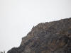 09Aug: Gyrfalcon on cliff, KM158, Dempster Hwy