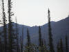 10Aug: Elephant Rock, KM 221, Dempster Hwy