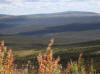 10Aug: Continental Divide (Beaumont Sea vs. Bering Sea)