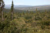 11Aug: Arctic Circle, Dempster Hwy, YT