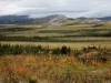 11Aug: KM443, Dempster Hwy, YT