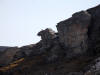 04Jun: Gyrfalcon on cliff, Council Road, AK
