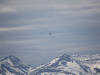 05Jun: Bristle-thighed Curlew, Coffee Dome, AK