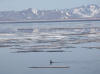 06Jun: Red-faced Cormorant, Teller, Teller Road, AK