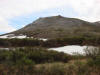 08Jun: Golden Eagle nest site, Kougarok Road, AK
