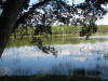 BFL2. Northern Swamp Forest
Laguna Seca
