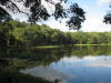BFL2. Northern Swamp Forest
Laguna Seca