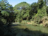 BFL1. Reparian Forest
Belize River, Guanacaste NP