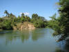 BFL1. Riparian Forest.
confluence of Mopan and Macal Rivers, Branchmouth Park