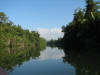 BFL6. Toledo Broadleaf Forest Lowland and Flood Plains
Moho River
