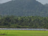 BFL6. Toledo Broadleaf Forests and Flood Plains
Aguacaliente Wildlife Sanctuary
