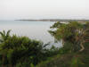 BFL6. Toledo Broadleaf Forest Lowland and Flood Plains
Bay of Honduras, Cattle Landing to Punta Gorda