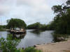 BFL2. Northern Swamp Forest
Pueblo Nuevo Ferry, New River
