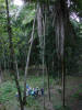 BFL3. Broken Ridge.
La Milpa Maya Site