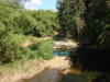 BFL2. Northern Swamp Forest
Soldier Creek, Coastal Highway