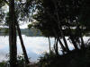 BFL. Broadleaf Forest Lowlands
Aguacate Lagoon, Spanish Lookout