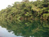 BFL6. Toledo Broadleaf Forest Lowland and Flood Plains
Moho River