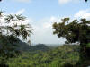 BFL6. Toledo Broadleaf Forest Lowland and Flood Plains
Laughing Falcon Reserve, Belcampo Belize Resort