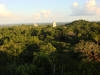 BFL5. High Ridge
Tikal National Park