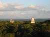 BFL5. High Ridge
Tikal NP, viewed from Temple IV
