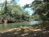 BFL1. Riparian Forest
Sibun River, Monkey Bay Wildlife Sanctuary