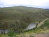 18Aug: Fox Lake Burn (1998), Klondike Hwy, YT