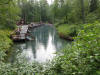 20Aug: Liard River Hot Springs, BC