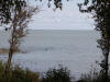24Aug: Great Slave Lake, Highway #3, NWT