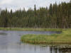 27Aug: Yellowknife River Territorial Park, NWT